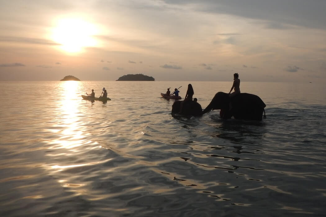 Olifanten Ko Chang