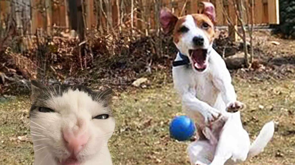 Dit zijn 10 fascinerende weetjes over Dieren Dit zijn 10 fascinerende weetjes over Dieren